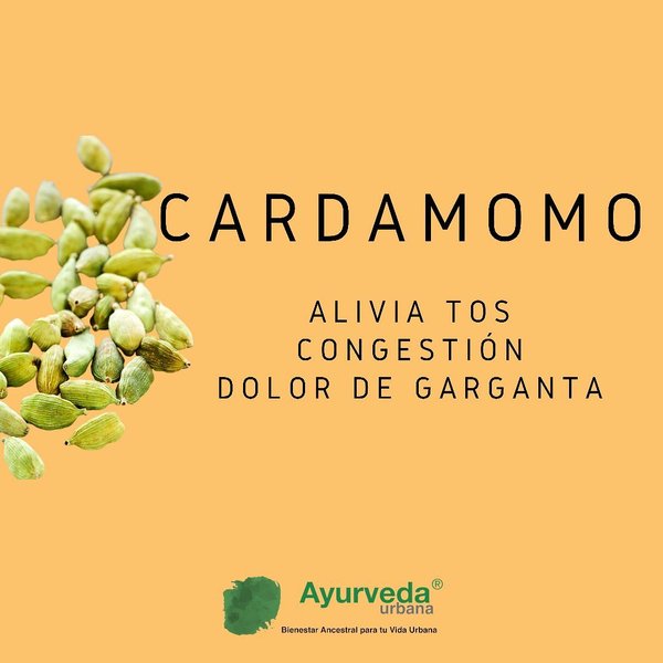 Thumbnail of p-ctlabwvjebc-27f1da689cf64140 2