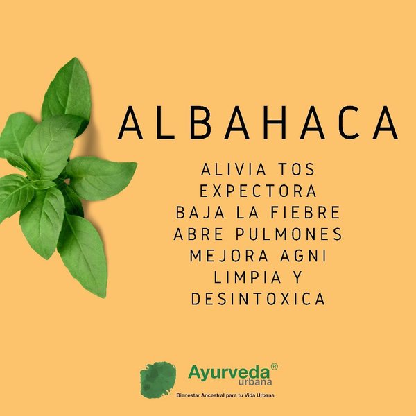 Thumbnail of p-ctlabwvjebc-27f1da689cf64140 3