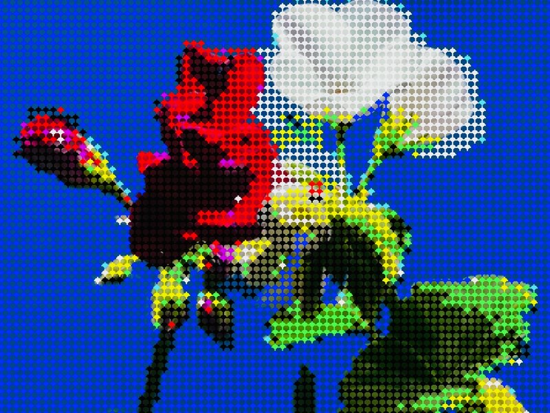 Thumbnail of p-dhz7r0gmqwt-27f9096c9a134966 2