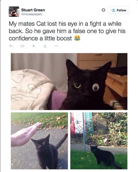 Thumbnail of bwaj-rkfc0q-2821a5eb2083438f 0