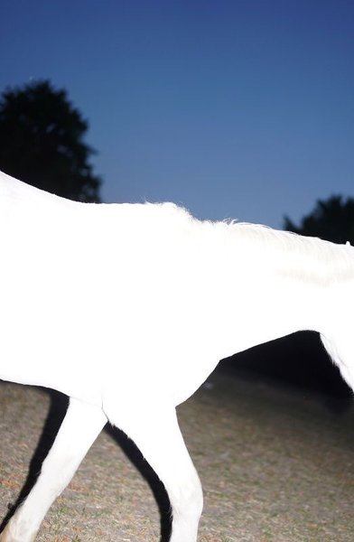 Thumbnail of hoops-ho0per 0