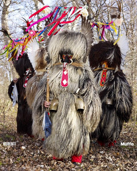 Thumbnail of p-ddmkzresjgy-283e199a66be4361 10