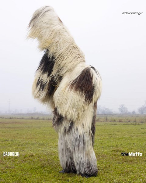 Thumbnail of p-ddmkzresjgy-283e199a66be4361 3