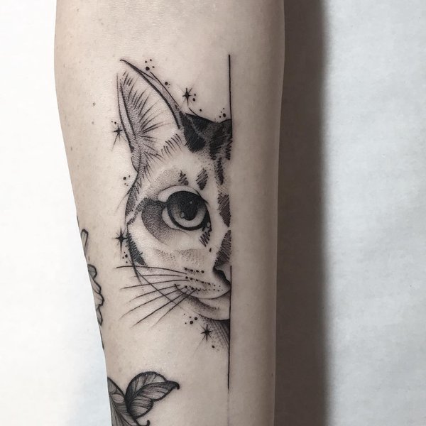 Thumbnail of bp-moyhlu7p-2881c4f053cb44b2 0