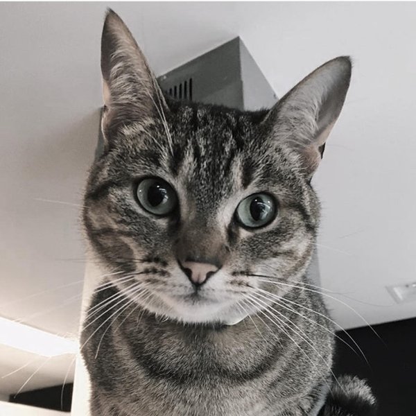 Thumbnail of bp-moyhlu7p-2881c4f053cb44b2 1