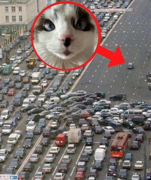 Thumbnail of p-chd1thqpmqu-28d6df6340204675 0