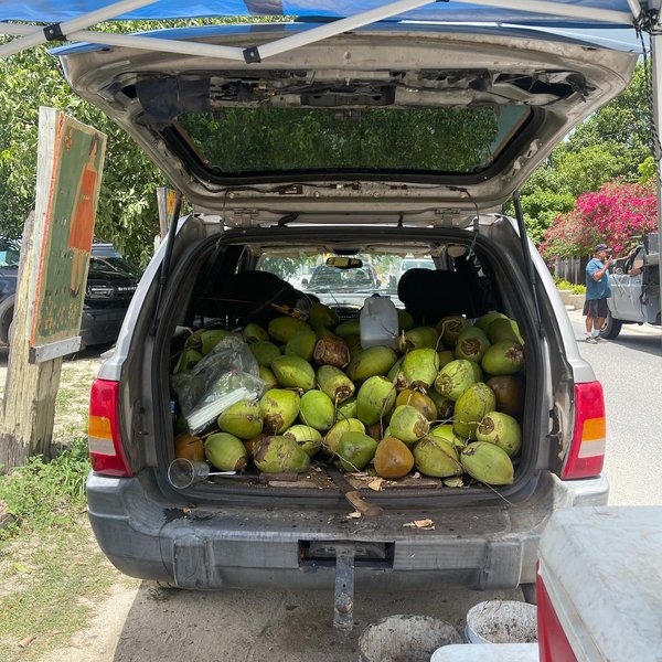 Thumbnail of p-cg8awwds1m0-28d92f95bd494e6d 4