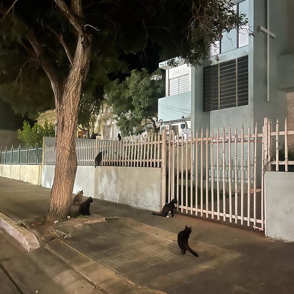 Thumbnail of p-cg8awwds1m0-28d92f95bd494e6d 7