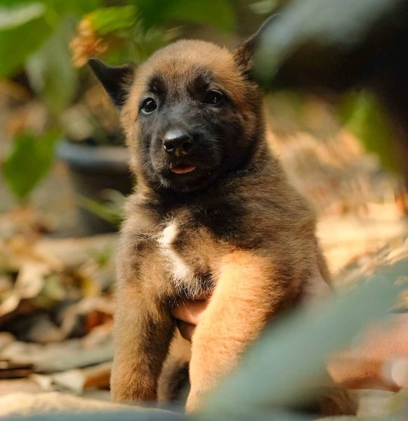 Thumbnail of p-bnqbfjjdek4-28fb989296534ec7 0