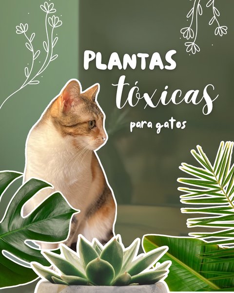 Thumbnail of p-dhrgjzhi6ht-28fbc53ee3ad459f 0