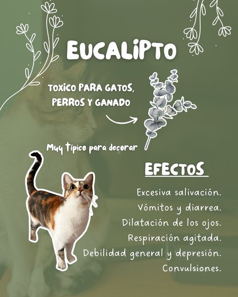 Thumbnail of p-dhrgjzhi6ht-28fbc53ee3ad459f 1