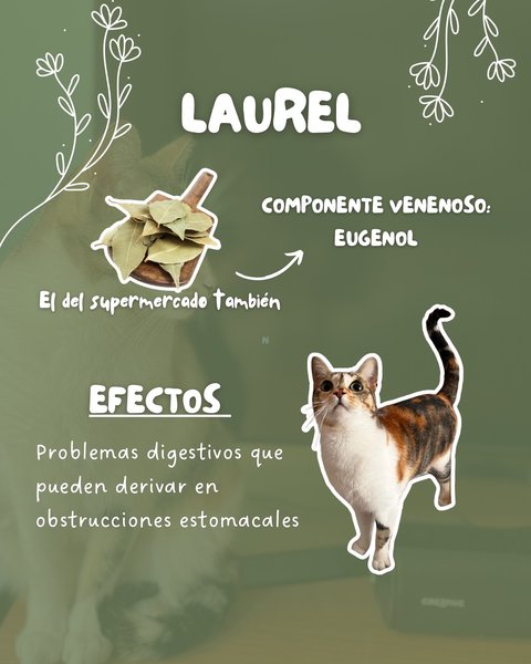 Thumbnail of p-dhrgjzhi6ht-28fbc53ee3ad459f 3