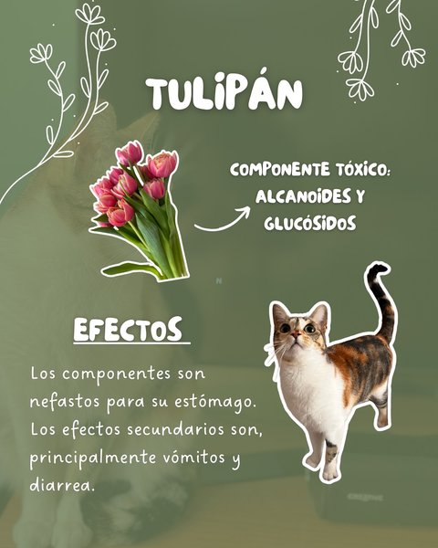 Thumbnail of p-dhrgjzhi6ht-28fbc53ee3ad459f 5