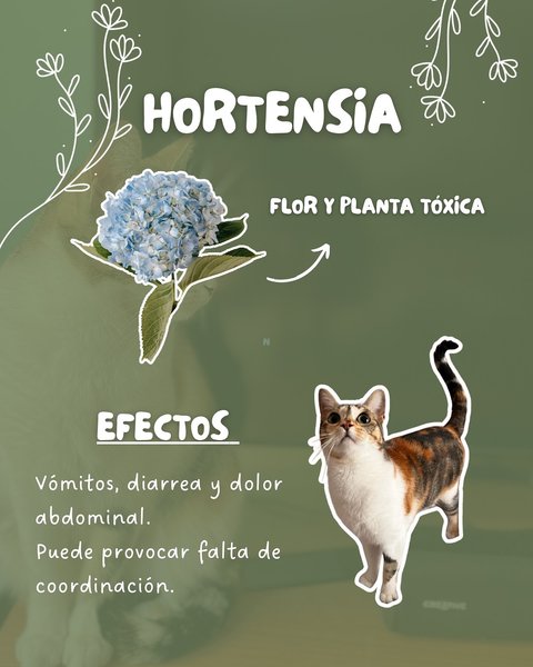 Thumbnail of p-dhrgjzhi6ht-28fbc53ee3ad459f 6