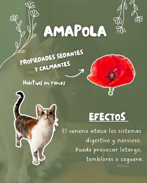 Thumbnail of p-dhrgjzhi6ht-28fbc53ee3ad459f 7