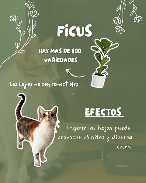 Thumbnail of p-dhrgjzhi6ht-28fbc53ee3ad459f 8