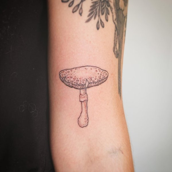 Thumbnail of p-b21wdtenqlg-2905e4142e4b4a60 0