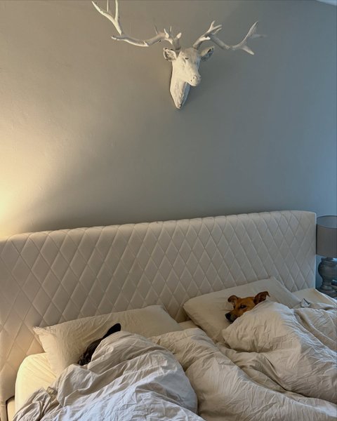 Thumbnail of ddidfwwkv-u-2942219b6c584963 15