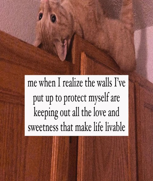 Thumbnail of p-csmic87pwki-296fab8a49034133 3