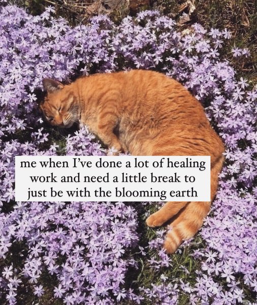 Thumbnail of p-csmic87pwki-296fab8a49034133 4