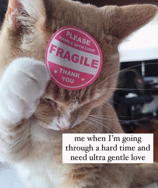 Thumbnail of p-csmic87pwki-296fab8a49034133 7