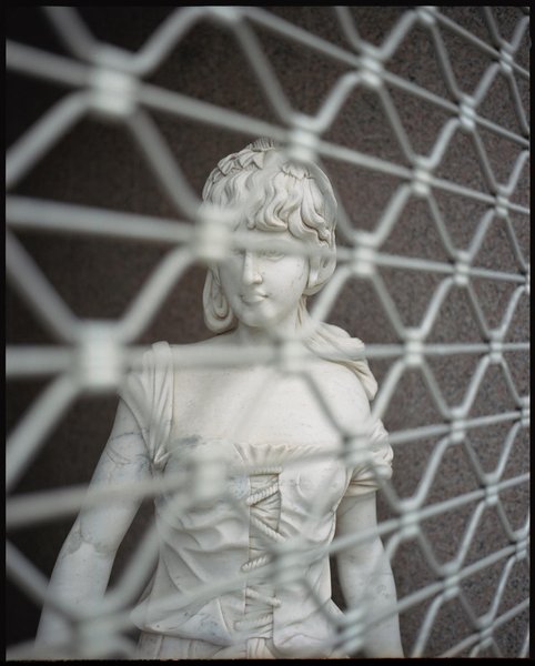 Thumbnail of p-ccqcjjooenc-29cb255a04a64421 0