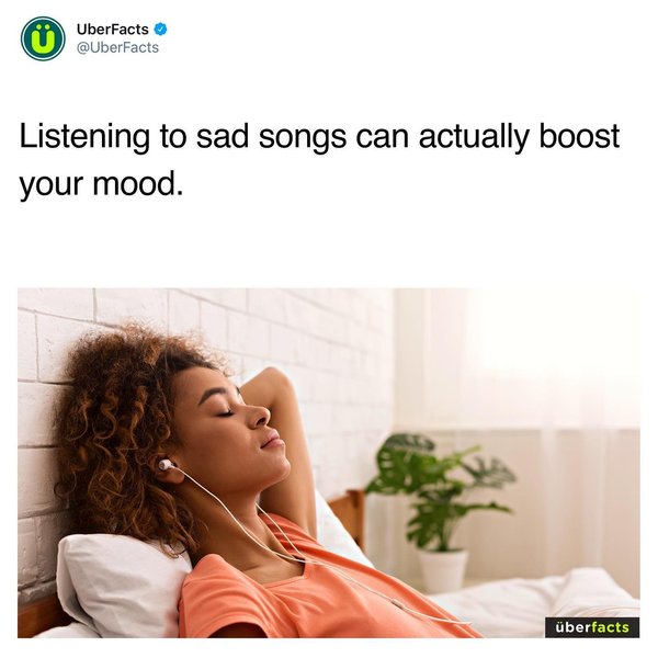 Thumbnail of p-ckufeqzrp2b-29ceb3ddaee9414d 3