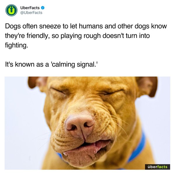 Thumbnail of p-ckufeqzrp2b-29ceb3ddaee9414d 4