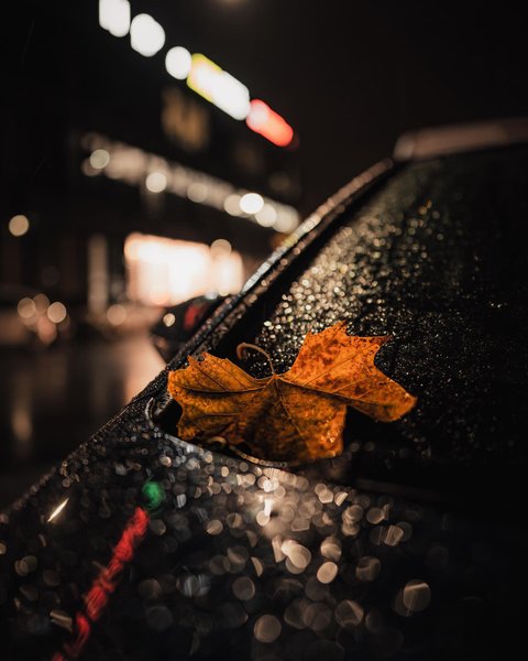 Thumbnail of p-clrfdr5sx8s-29e97786296e44b3 0