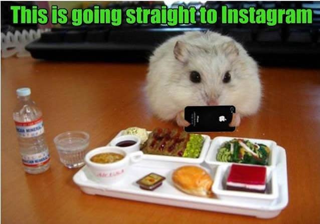 Thumbnail of brtpcrlj-ue-29f2e5c135d54175 0