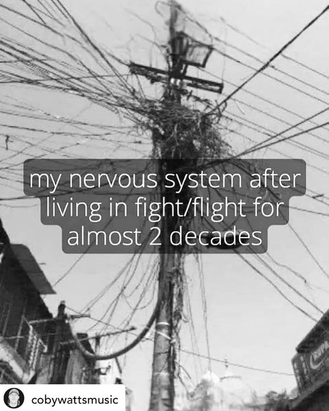 Thumbnail of p-dd4wg1ds7e0-2a140ac050054ce4 0