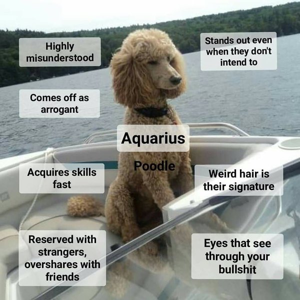 Thumbnail of bsyevk-nghf-2a49a75db8864de8 0