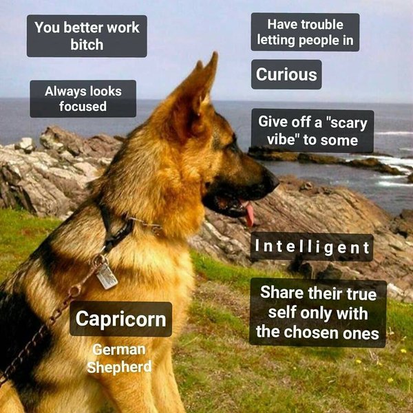 Thumbnail of bsyevk-nghf-2a49a75db8864de8 1