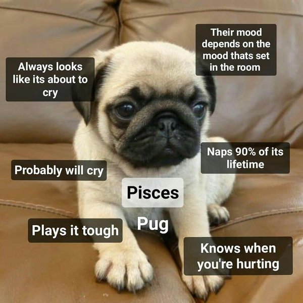 Thumbnail of bsyevk-nghf-2a49a75db8864de8 2