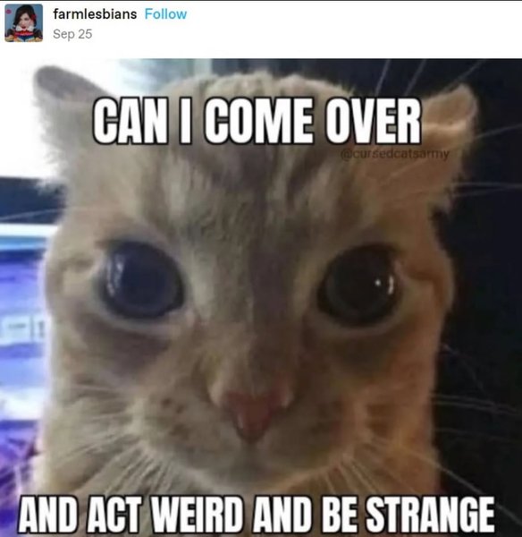 Thumbnail of p-cj8mzfkpjtx-2a51253625e94b61 7