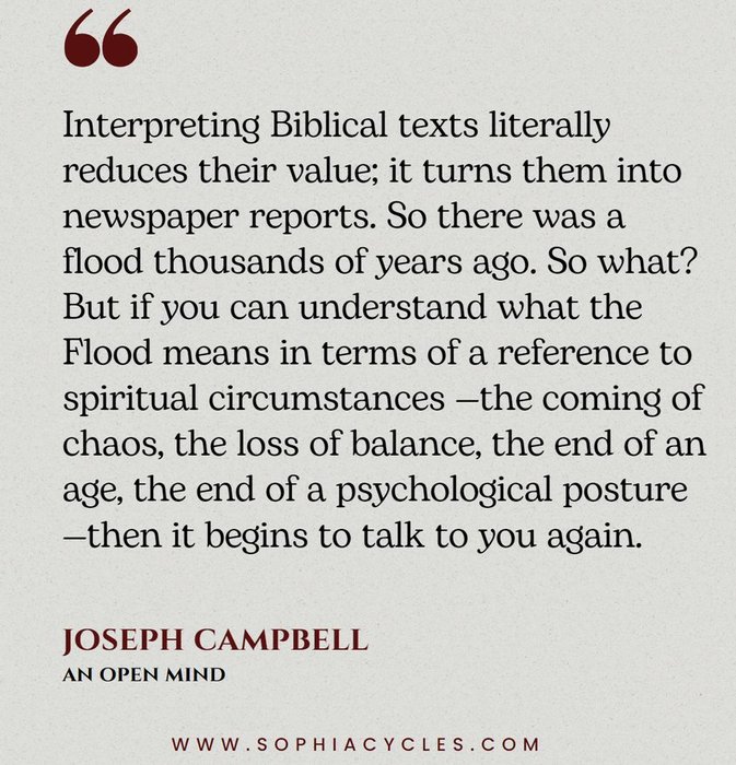 Thumbnail of www-x-com-sophiacycles-status-2004681880877019431