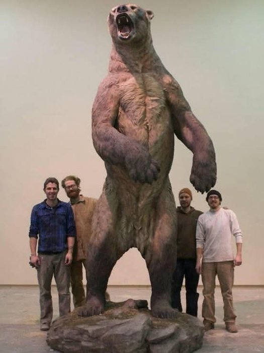 Thumbnail of www-x-com-dr-thehistories-status-1930867364192469430-2a6c9e3b40264a75