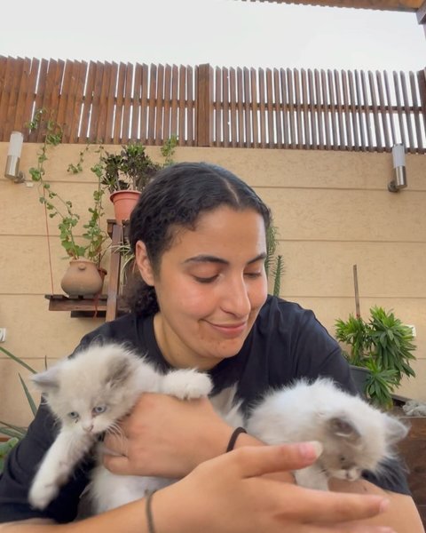 Thumbnail of p-da0j1zhgr2k-2a898a221f484d8a 6