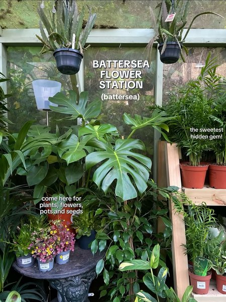 Thumbnail of p-dpcevnpdfsy-2ab370b03bff4c88 4