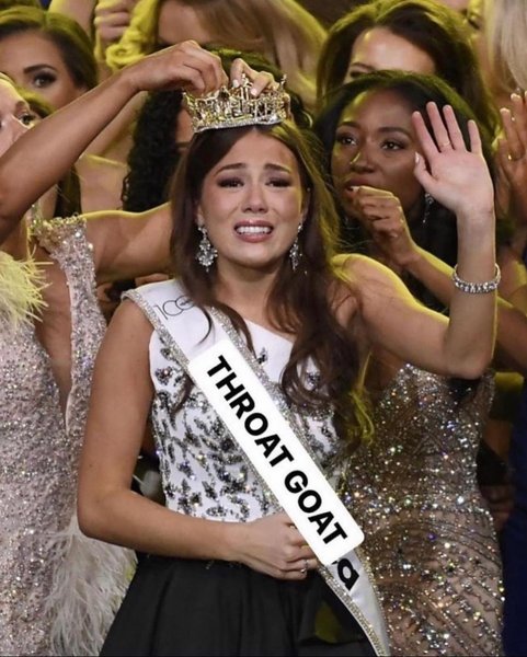 Thumbnail of p-cu8ix2bmfzh-2ab72adca5ce4f4a 0