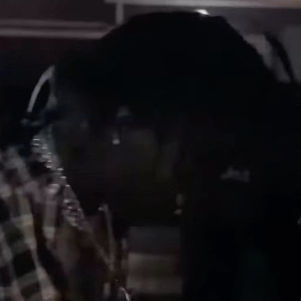 Thumbnail of p-ddbt5bwo5q7-2acf2ca45e1d48a0 3