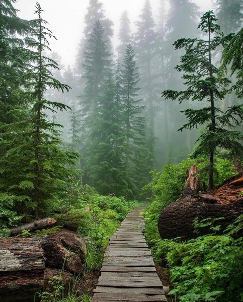 Thumbnail of p-ctksh8bnefq-2adafbbf936a4ef9 0