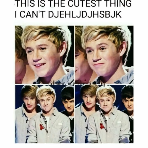 Thumbnail of p-dcjjxuzsjvm-2b0fa102c91f4976 11