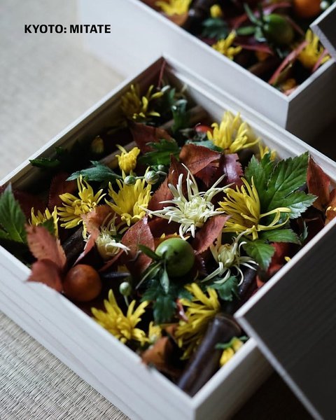 Thumbnail of djhu5-bxxoz-2b74d6e4b4164cb5 5