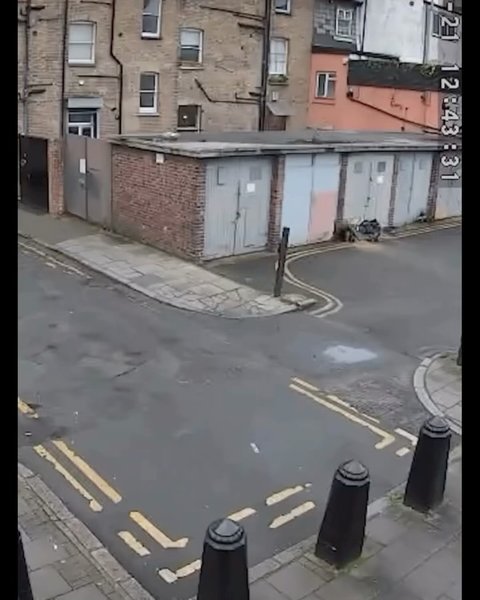 Thumbnail of p-dchtoywieqy-2b775df6ce254e43 3