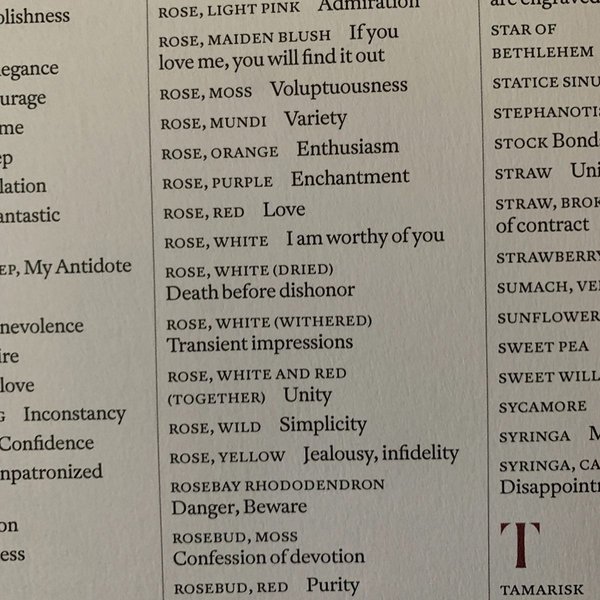 Thumbnail of p-b1yocqnguab-2b85f349f21c429b 1