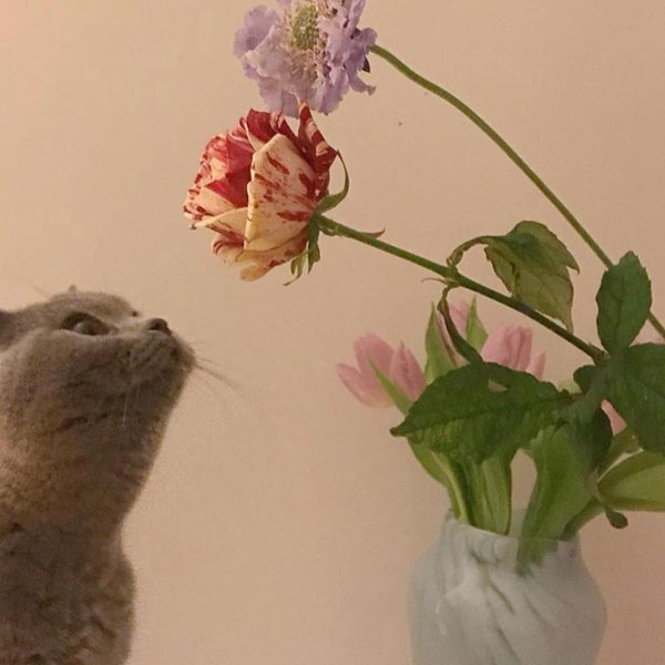 Thumbnail of p-b1yocqnguab-2b85f349f21c429b 5