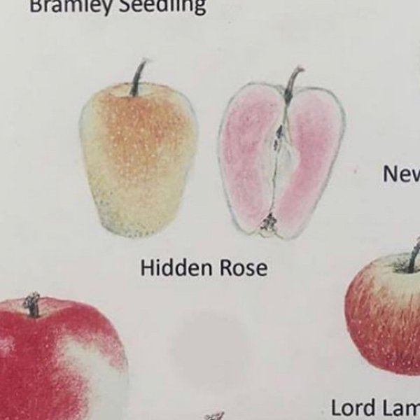 Thumbnail of p-b1yocqnguab-2b85f349f21c429b 7