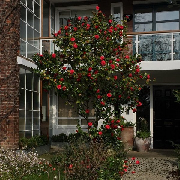 Thumbnail of p-b1yocqnguab-2b85f349f21c429b 8