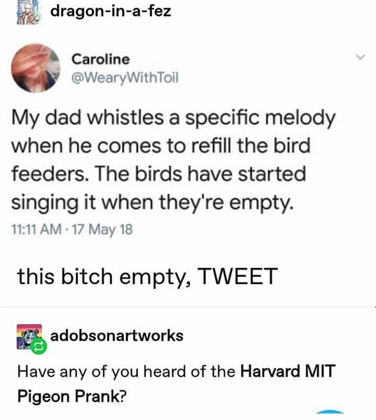 Thumbnail of b-dvlnbjjzz-2bb2b5b4b75140b6 0